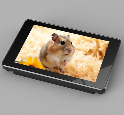 Un buon prezzo. 73.4*49.0 mm Area di visualizzazione efficace schermo LCD con colore RGB 65K in linea
